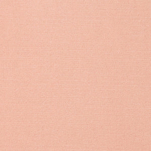 Abetone Cipria Rug