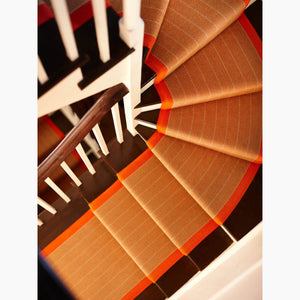 Dart Persimmon Rug