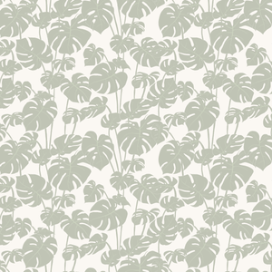 Mighty Monstera Verdant Wallpaper