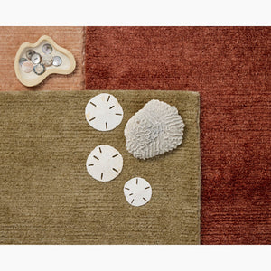 Moss Cove Auburn Rug