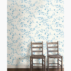 Nasturtium Pacifica Wallpaper