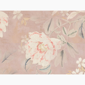 Peony Blush Wallpaper