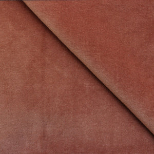 Plush Santa Rosa Velvet Fabric