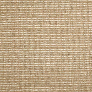 Ezra Canvas Rug